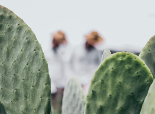 Embracing the Future with Cactus Leather: Carter Wade's Sustainable Journey